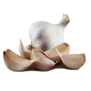 Garlic-Pahari