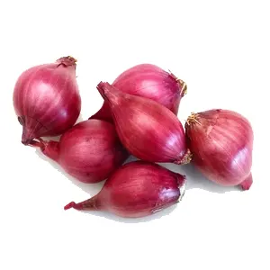 Onion-Sambhar