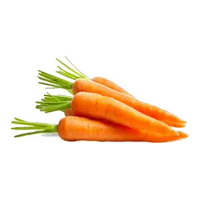 Orange-carrot