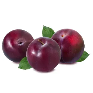 Plum-exotic-impoted