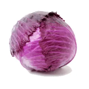 Red-cabbage