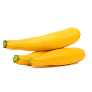 Zucchini-yellow