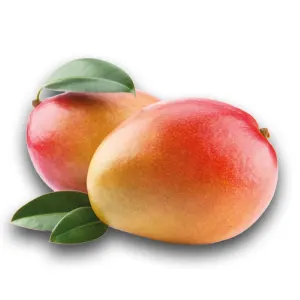 mango-perry