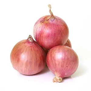 onion-nasik