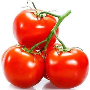 tomato-red-local
