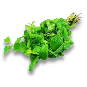Mint-Pudina-leaves